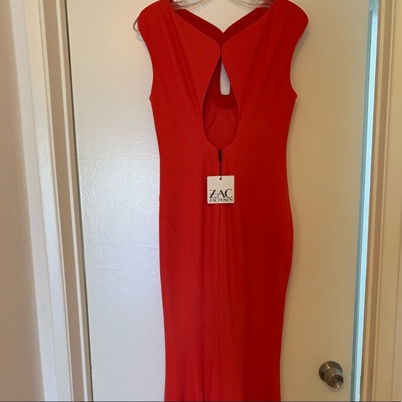 Zac Posen gown - Picture 4 of 8